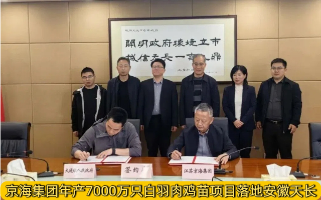 京海集团年产7000万只白羽肉鸡苗项目落地安徽天长
