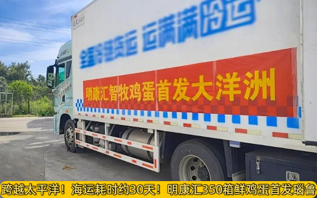 跨越太平洋！海运耗时约30天！明康汇350箱鲜鸡蛋首发瑙鲁