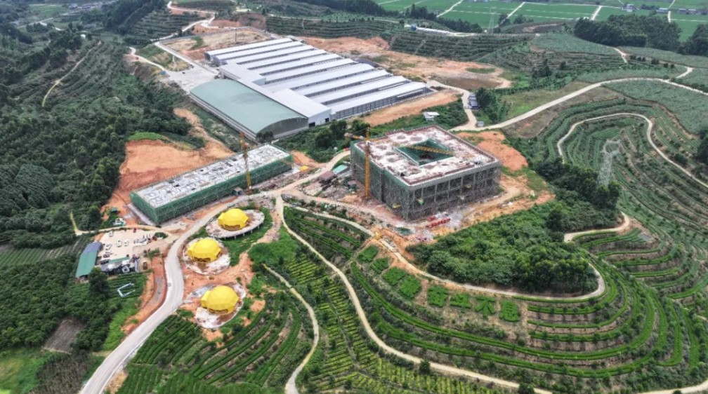 DJI_20260702133617_0720_D.JPG 图片