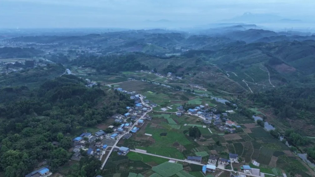 dji_20260401100153_0535_d.jpg 图片