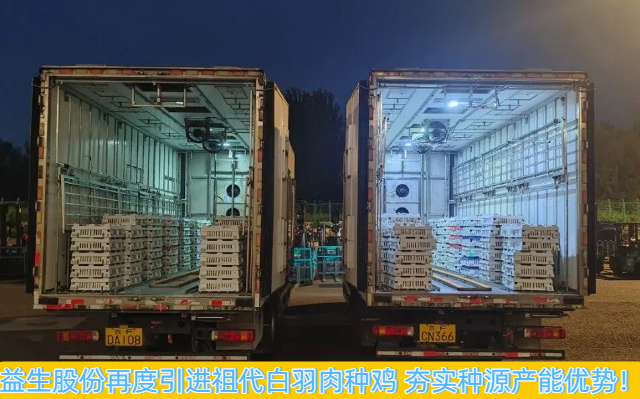 益生股份再度引进祖代白羽肉种鸡 夯实种源产能优势！